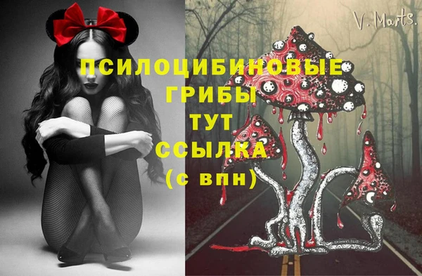меф Беломорск