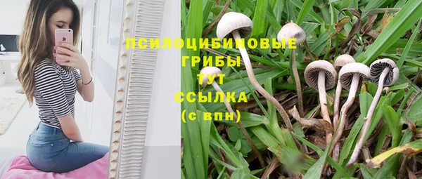 меф Беломорск