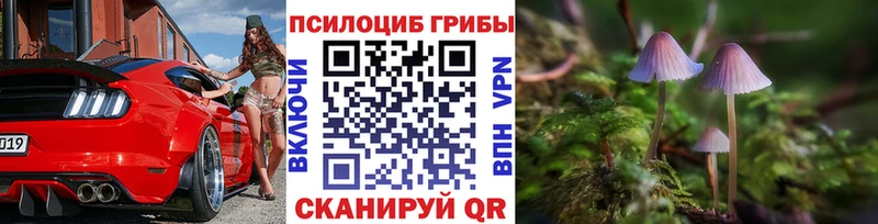 где найти Воскресенск Галлюциногенные грибы GOLDEN TEACHER